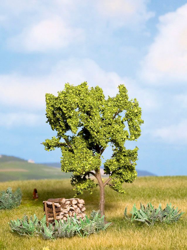 Noch 21600 - Birnbaum