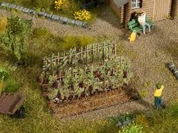 Noch 13224 - Wijnranken met zwarte druiven