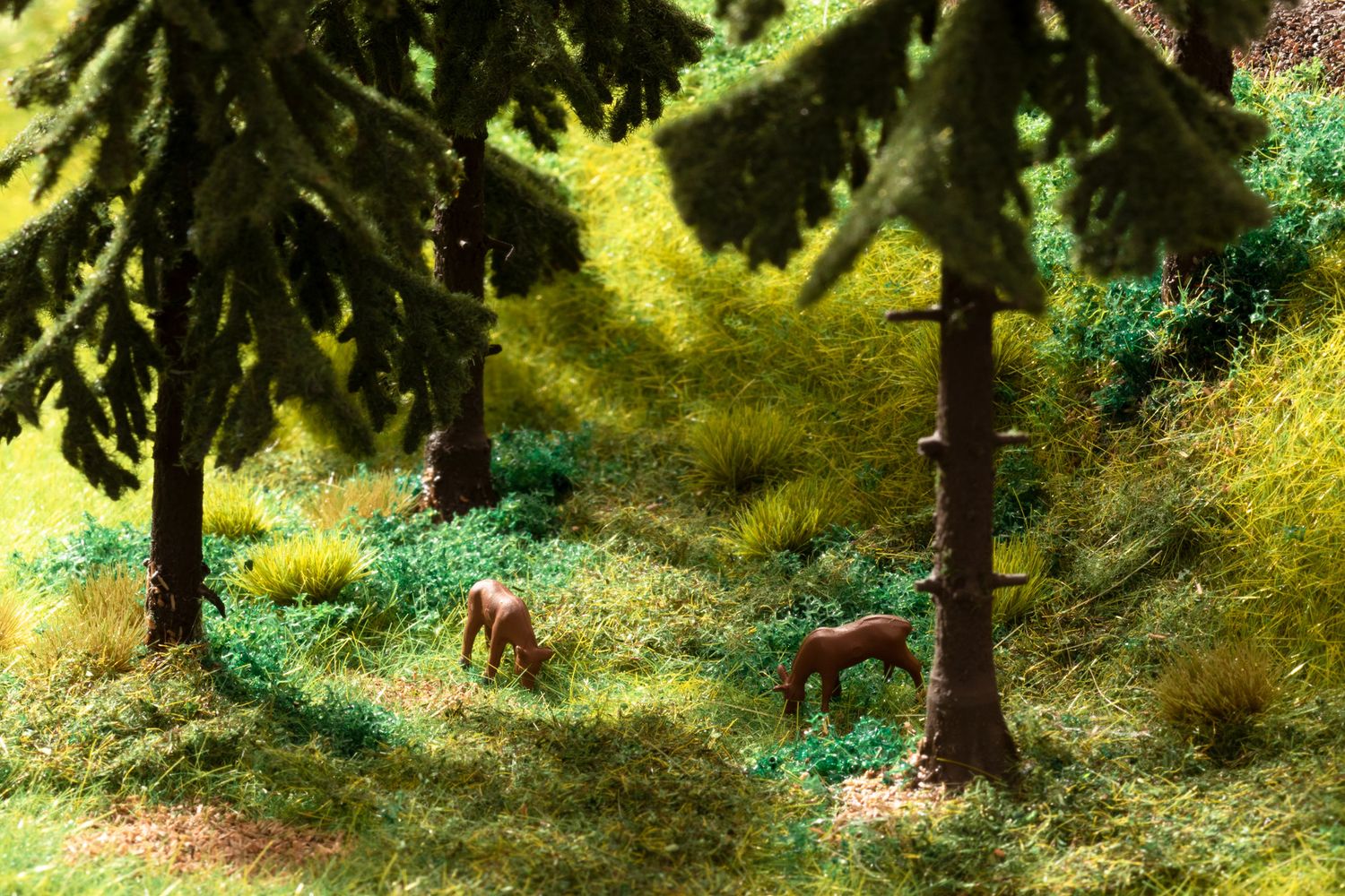 Noch 60772 - Vegetations-Startset &quot;Wald&quot;