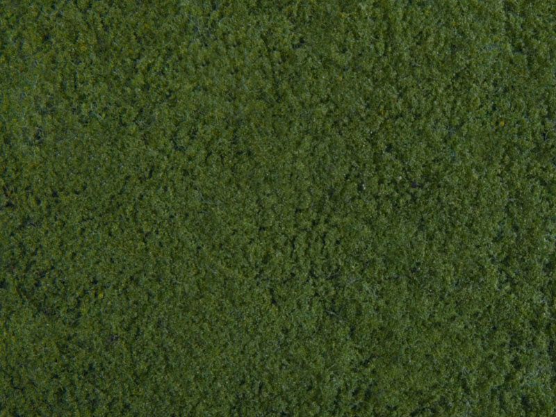 Noch 07271 - Foliage