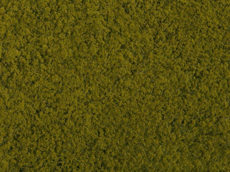 Noch 07270 - Foliage