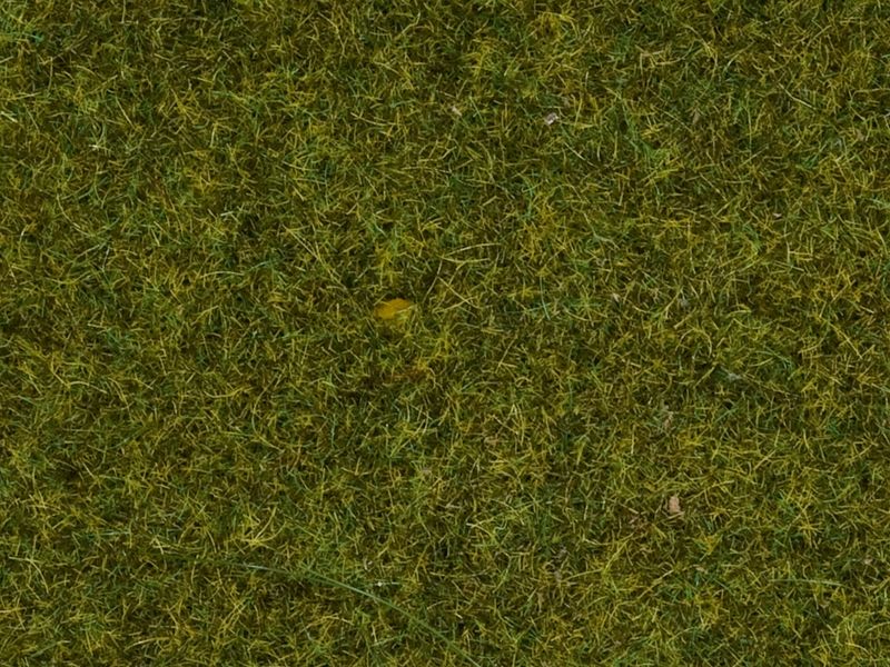 Noch 07117 - Wildgras &quot;Wiese&quot;