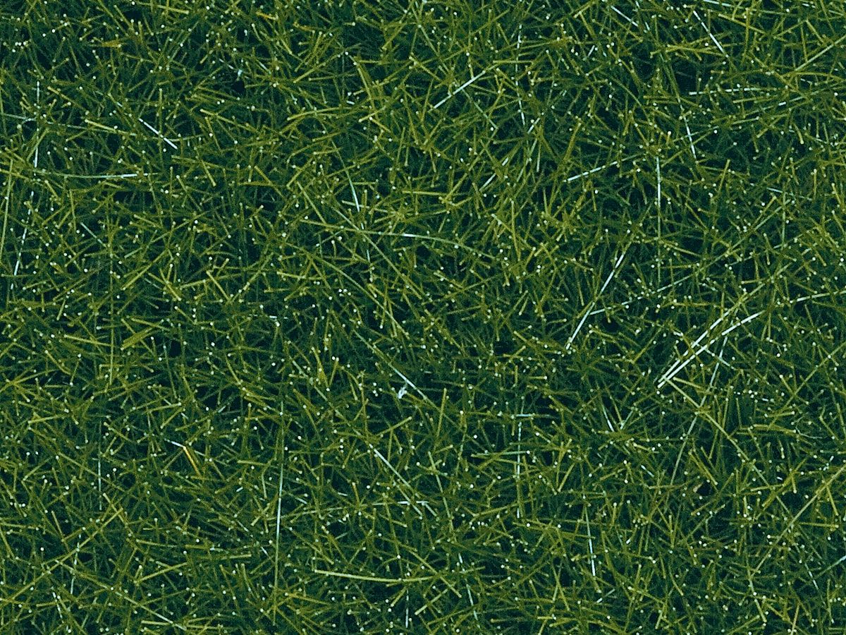 Noch 07120 - Wildgras