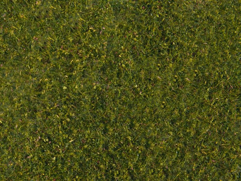 Noch 07291 - Wiesen-Foliage
