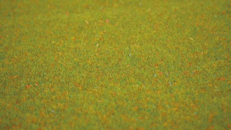 Noch 00011 - Grasmatte “Blumenwiese” 200 x 100 cm