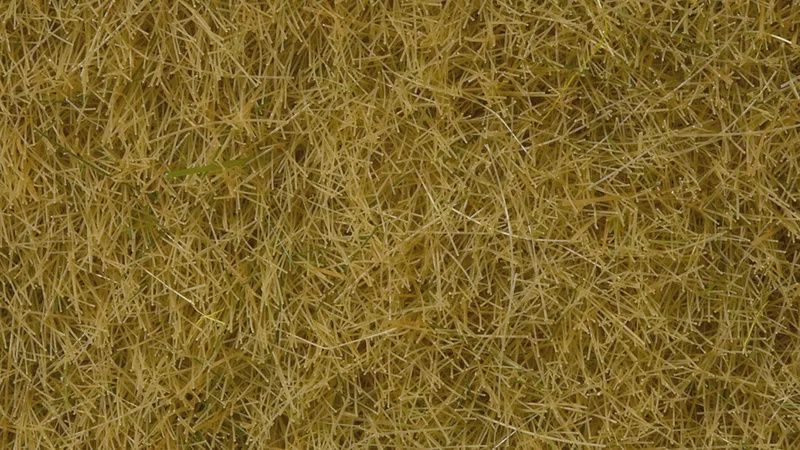 Noch 07101 - Wildgras &quot;Beige&quot;