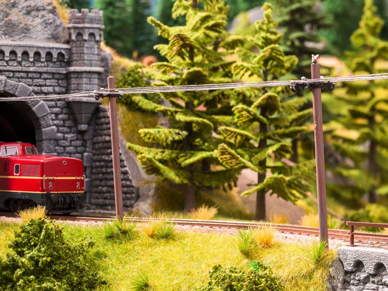 Noch 13160 - Telegrafenmasten