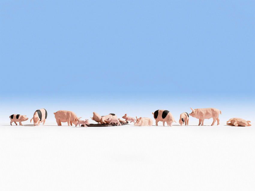 Noch 15712 - Schweine