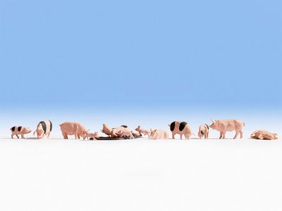 Noch 15712 - Schweine