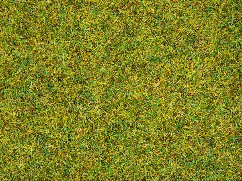 Noch 50190 - Strooigras “Sommerwiese” | 2.5mm