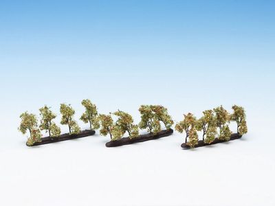 Noch 21537 - Plantagenbäume mit Äpfeln
