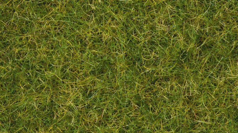 Noch 07072 - Master-Grasmischung “Sommerwiese”