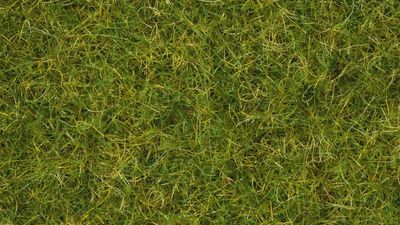 Noch 07072 - Master-Grasmischung “Sommerwiese”