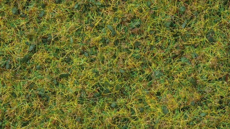 Noch 07073 - Master-Grasmischung “Kuhweide”