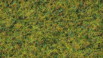 Noch 07073 - Master-Grasmischung “Kuhweide”