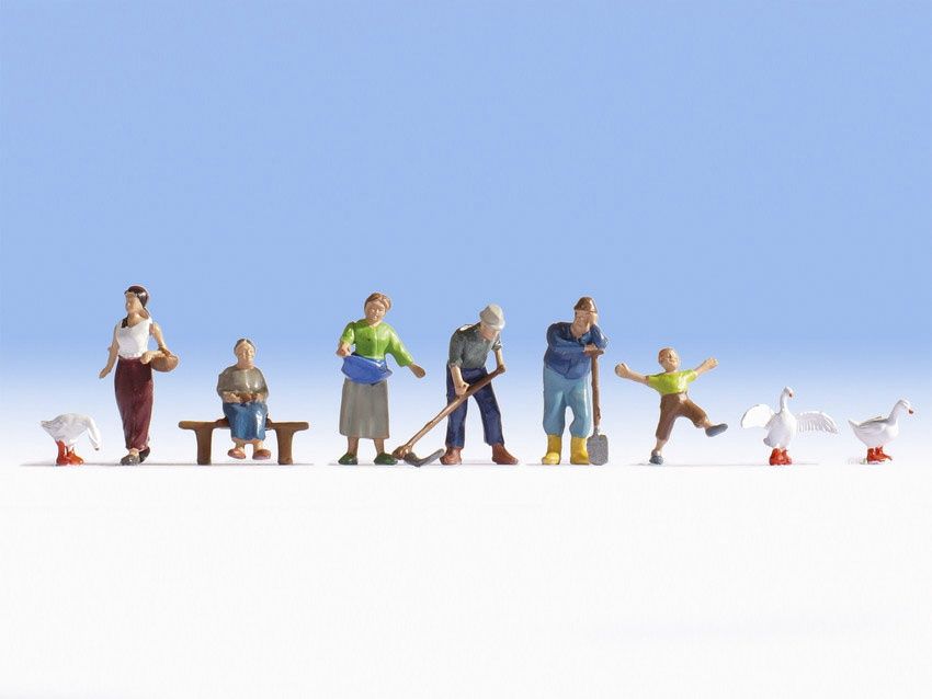 Noch 36629 - Landbouwer, N