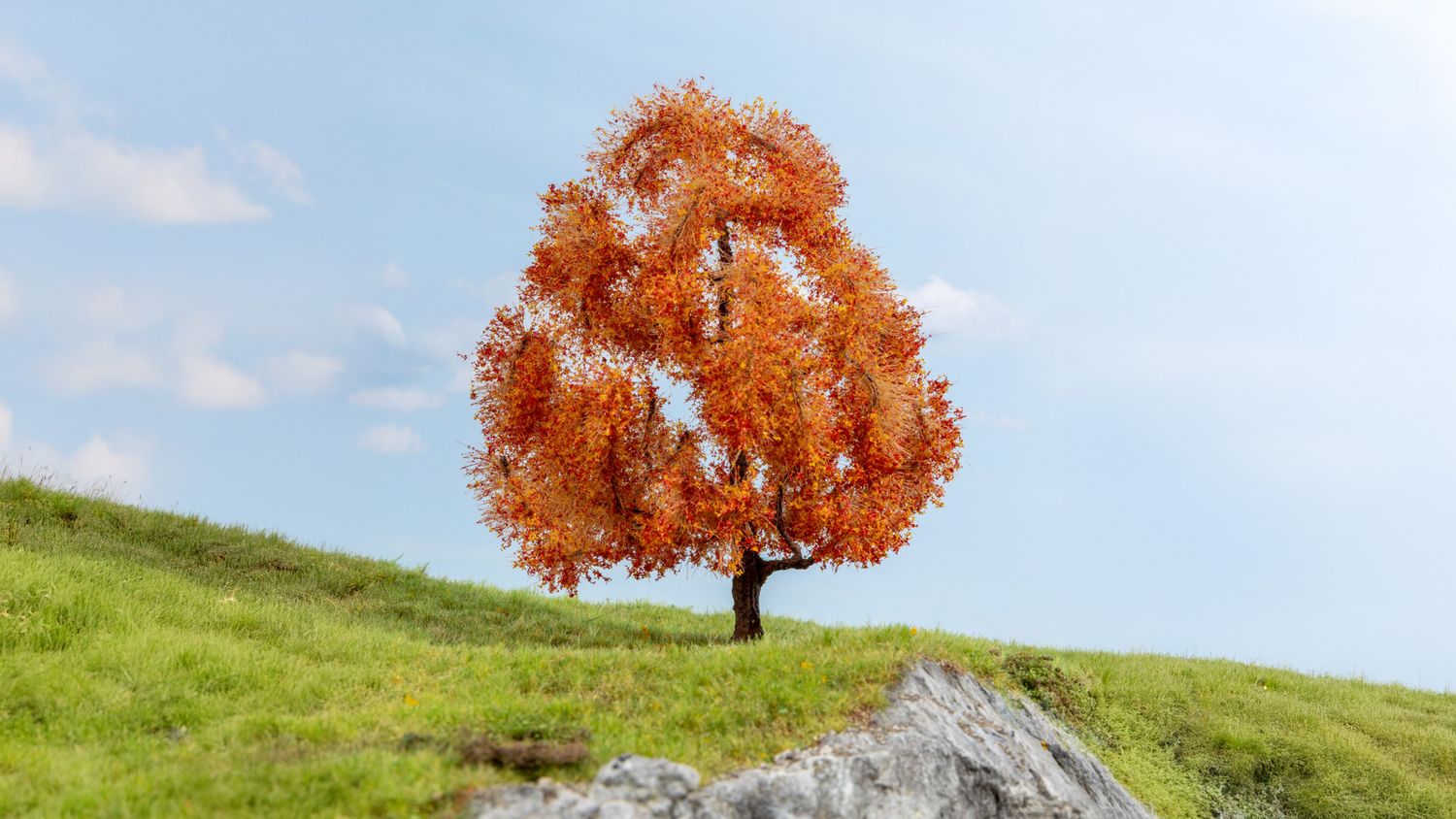 NOCH 20155 - Esdoorn in herfstkleuren (15 cm)