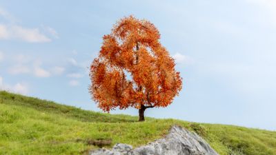 NOCH 20155 - Esdoorn in herfstkleuren (15 cm)