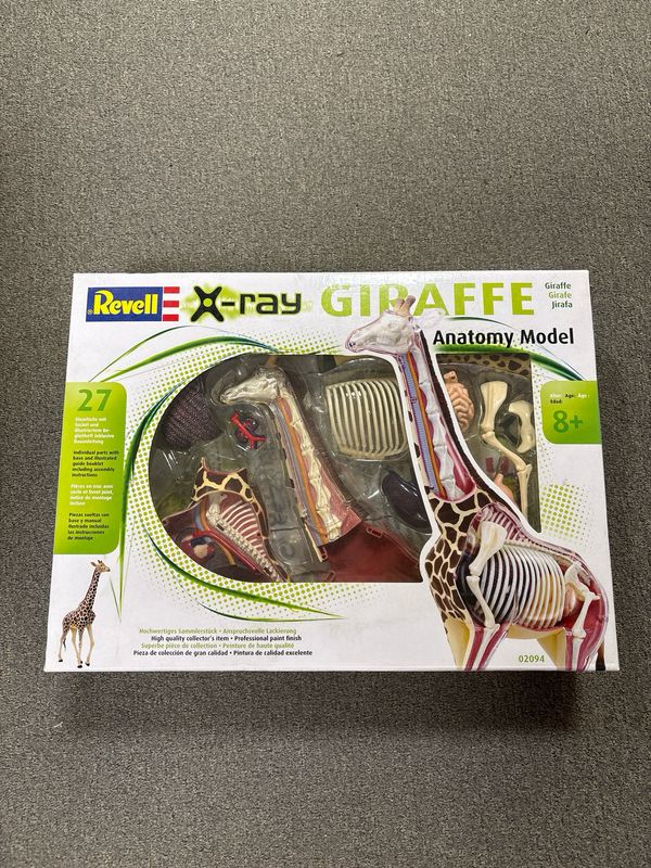 Revell 02094 - Anatomy Model Giraf  1:16