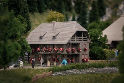 Faller 232011 -  Jubileummodel "Horlogemakershuis met figuur" , N