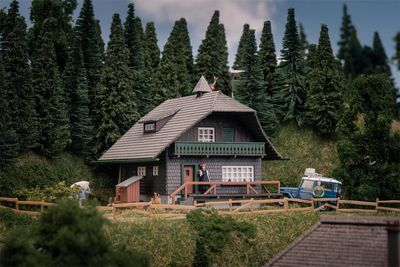 Faller 130010 - Jubileummodel "Zwarte Woud huis met figuur", H0