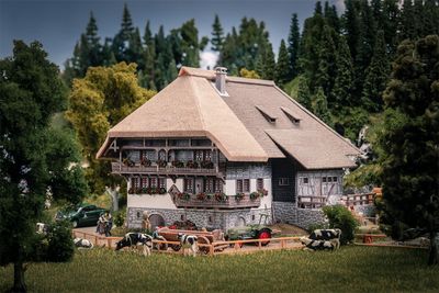 Faller 130013 -  Jubileummodel "Zwarte Woud boerderij met 2 figuren ", H0