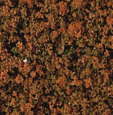 Heki 1567 - Loof herfstbruin