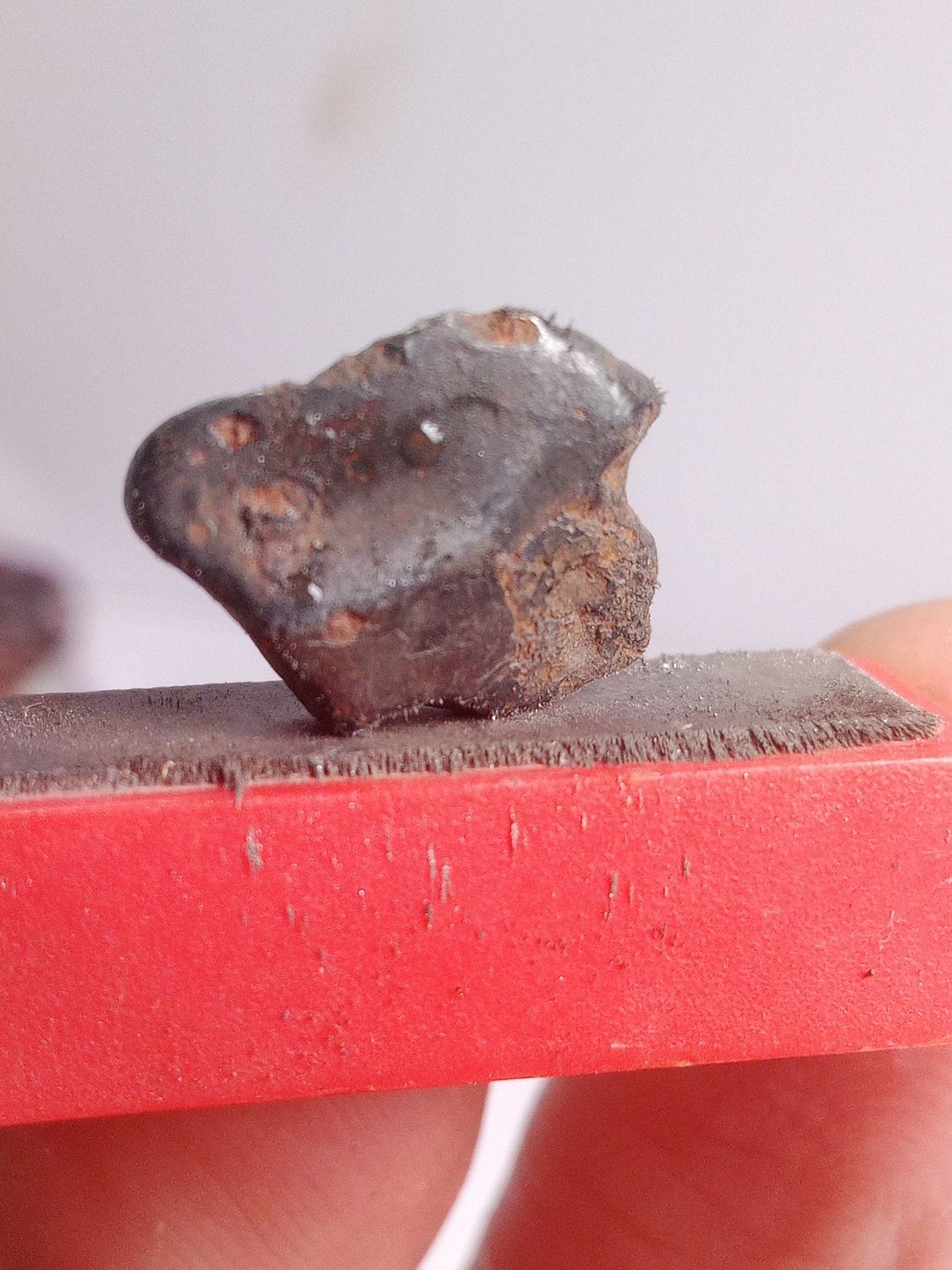 Meteorite Sikhote-Alin fer