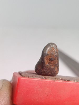 Meteorite de fer Sikhote-Alin individuel