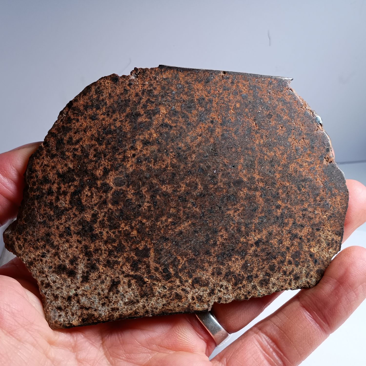 Metéorite tranche XXL avec croute - L4/5
