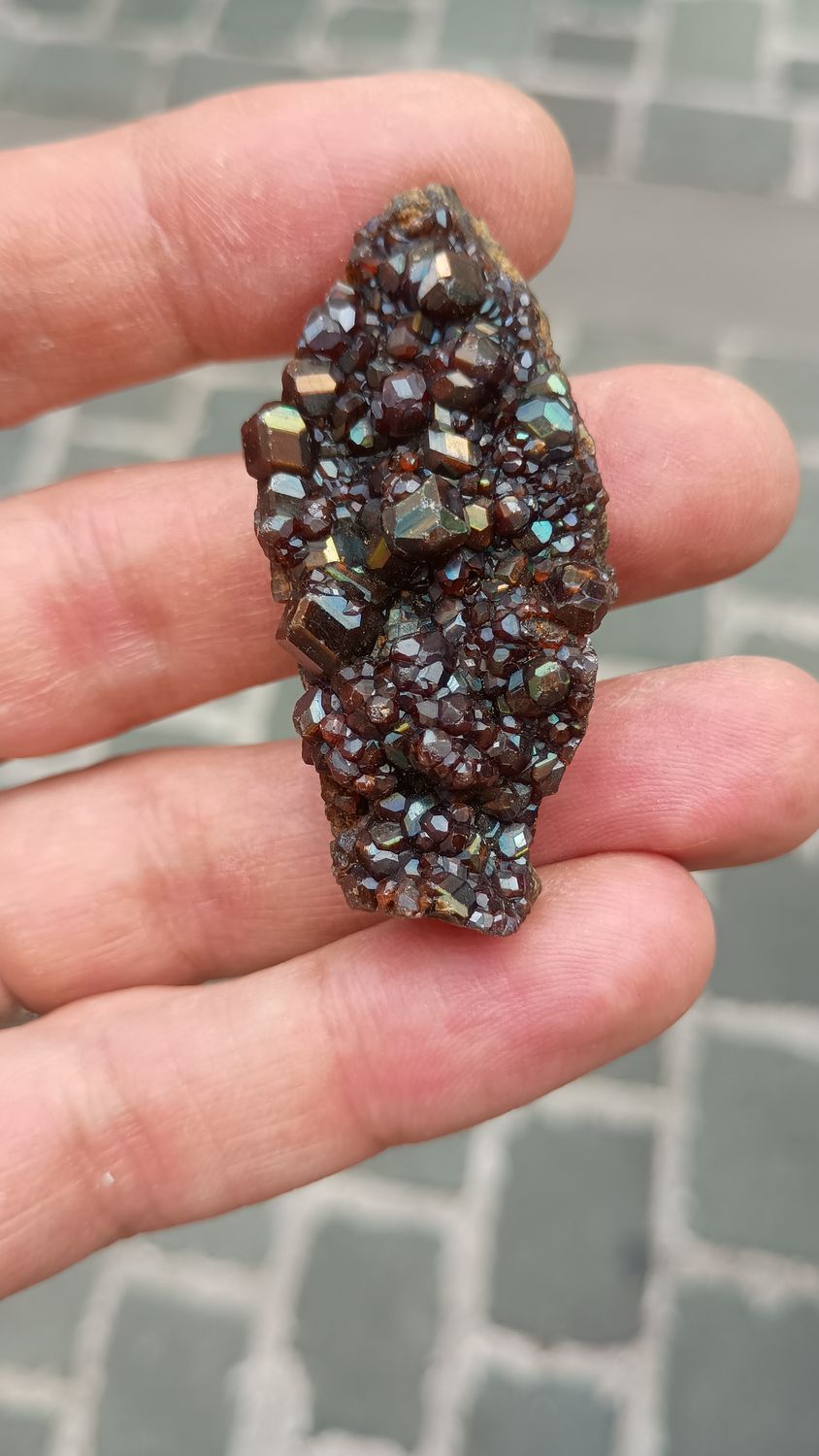 Rainbow garnet🌈cluster