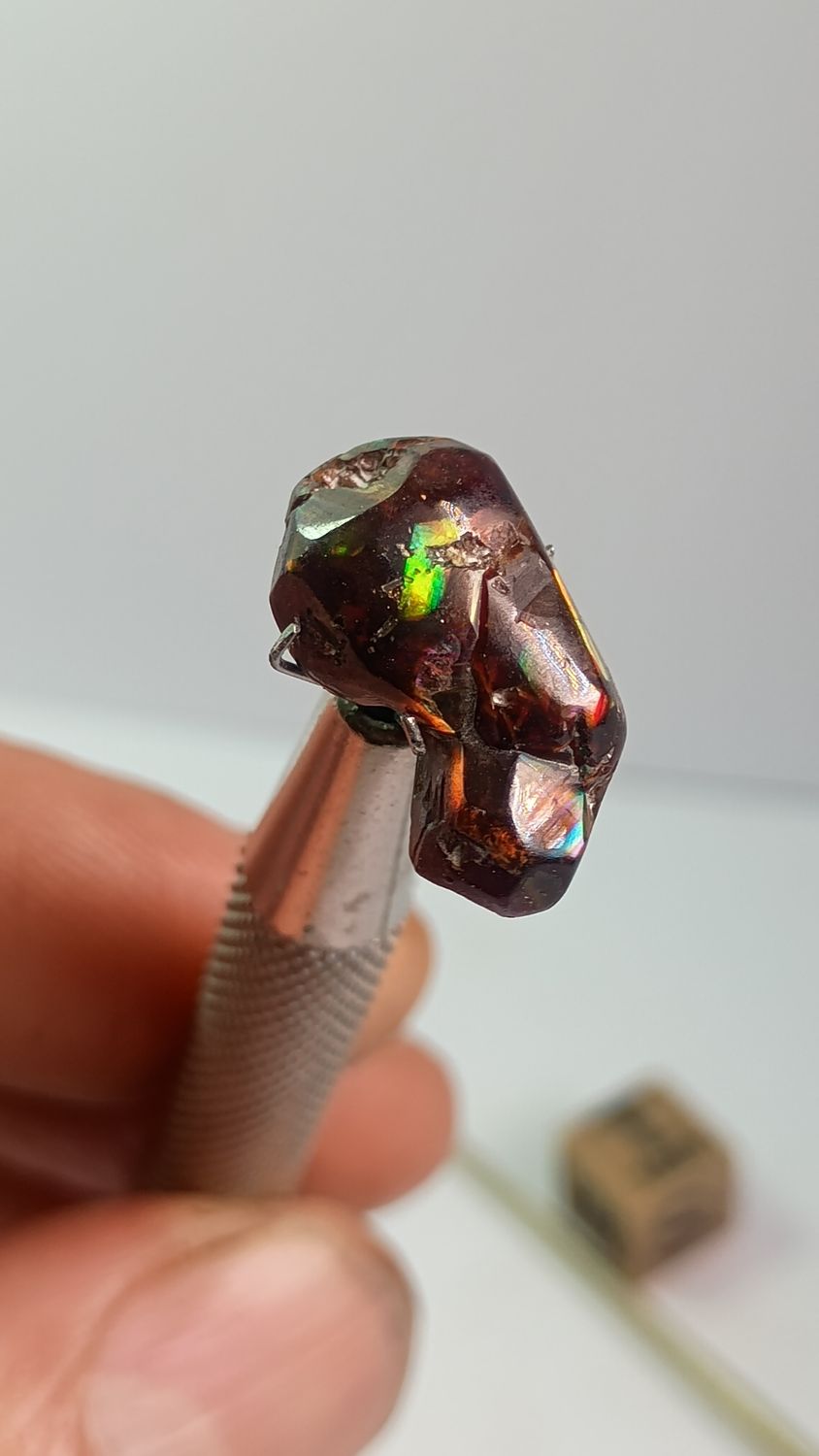 Cluster grenat arc en ciel repoli