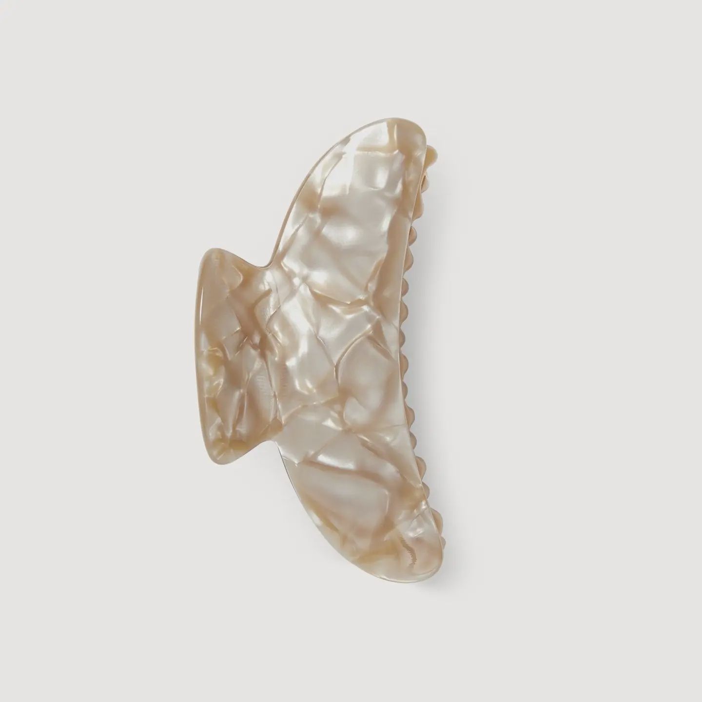 Grande Heirloom Claw Sand Shell