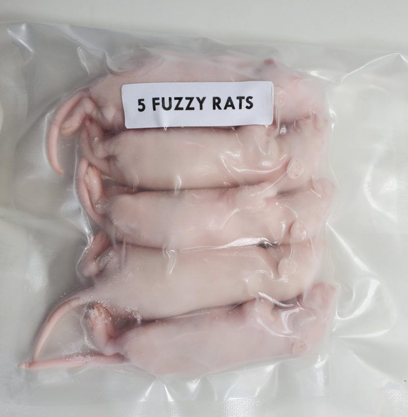IBW - Frozen Rats, Size: Fuzzy (Qty 10)