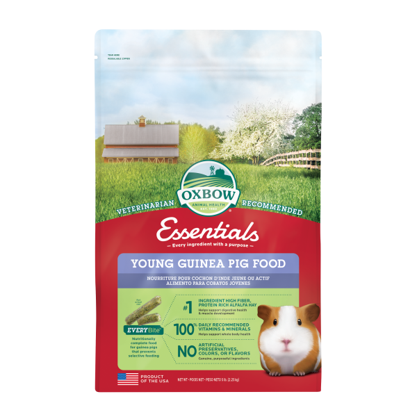 Oxbow - Young Guinea Pig 5lb