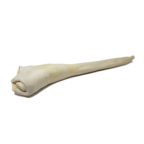 Open Range - Bull Tail 24&quot;