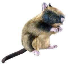 Hunter Wildlife - Rat Medium Medium 7.9&quot;