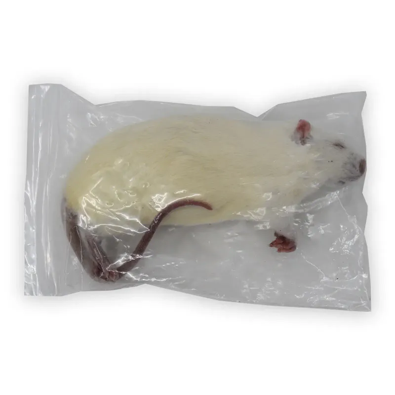 IBW - Frozen Rats