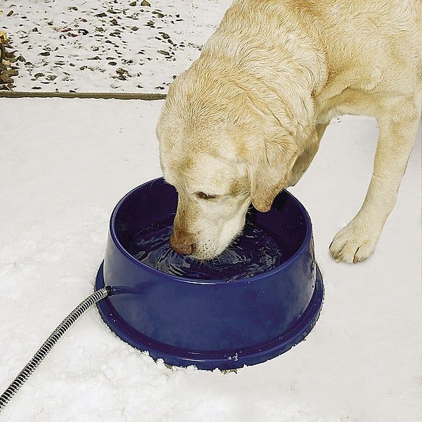 K&amp;H Thermal Heated Bowl/Electric 96 oz