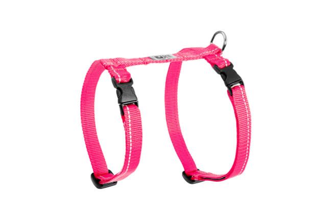 RC Pets - Primary Kitty Harness Azalea