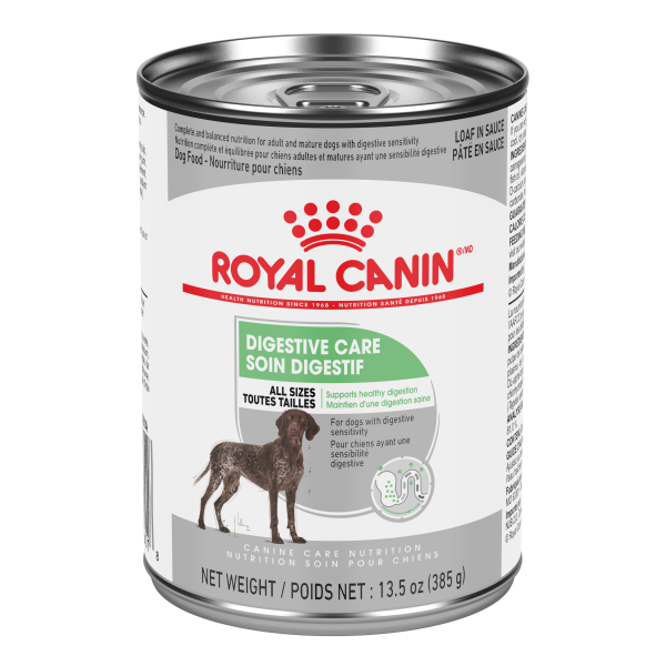Royal Canin - CCN Digestive Care Loaf Dog 385g