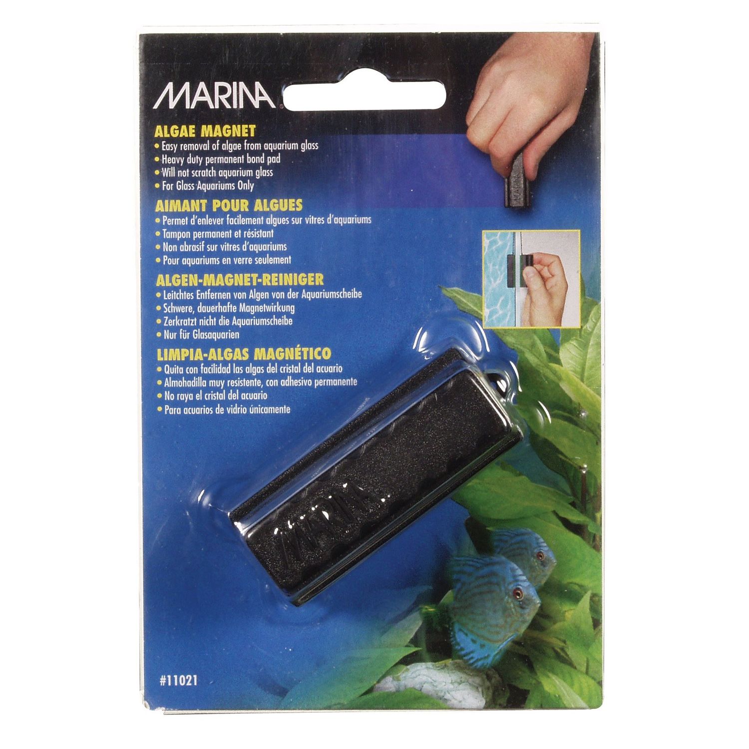 Marina - Small Algae Magnet