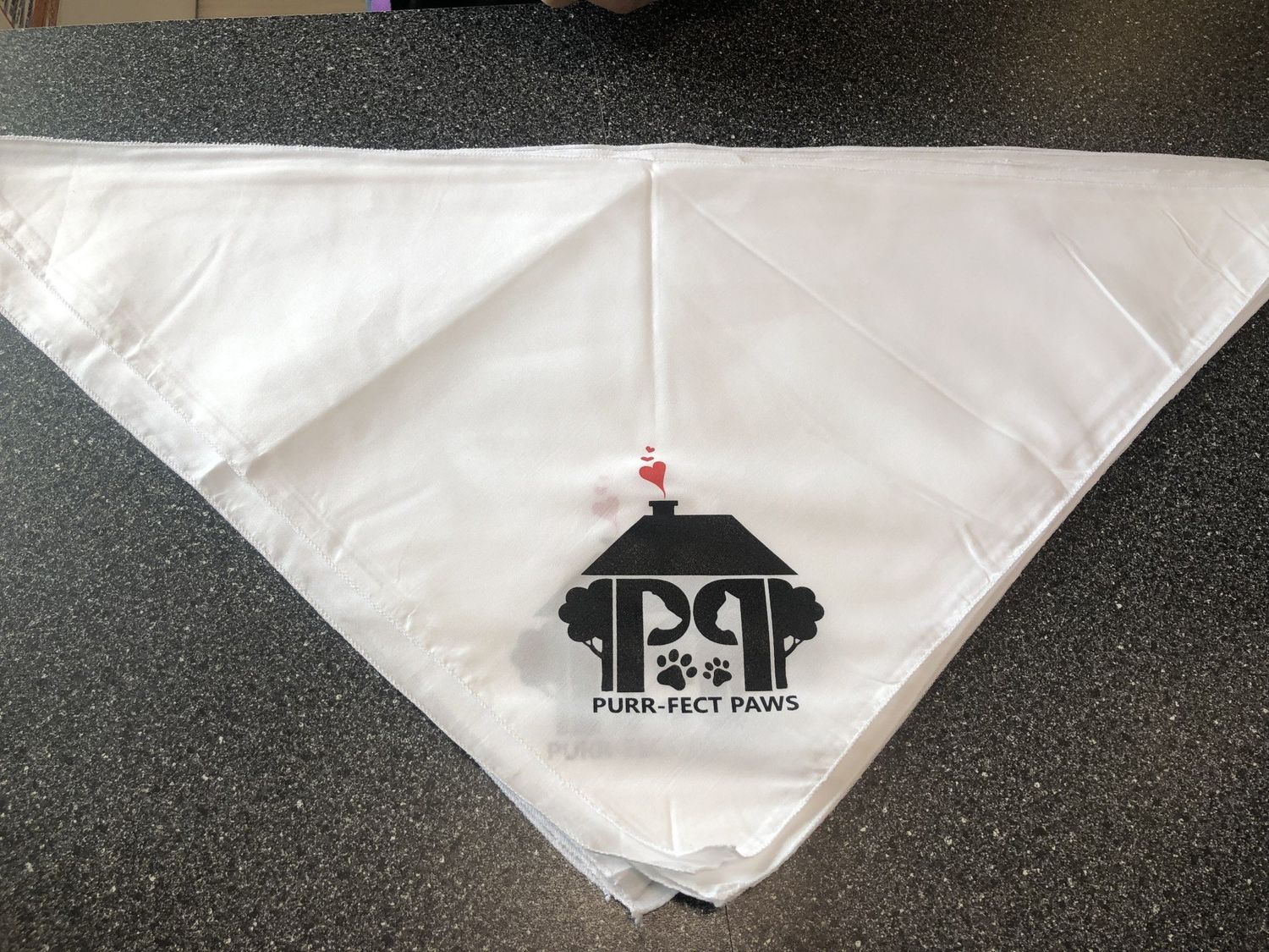 Purr-fect Paws - Bandana