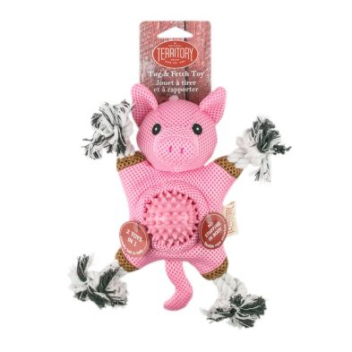 Tall Tails - Farm Friends 2x1 Pig Toy