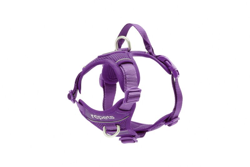 RC Pets - Momentum Harness Purple