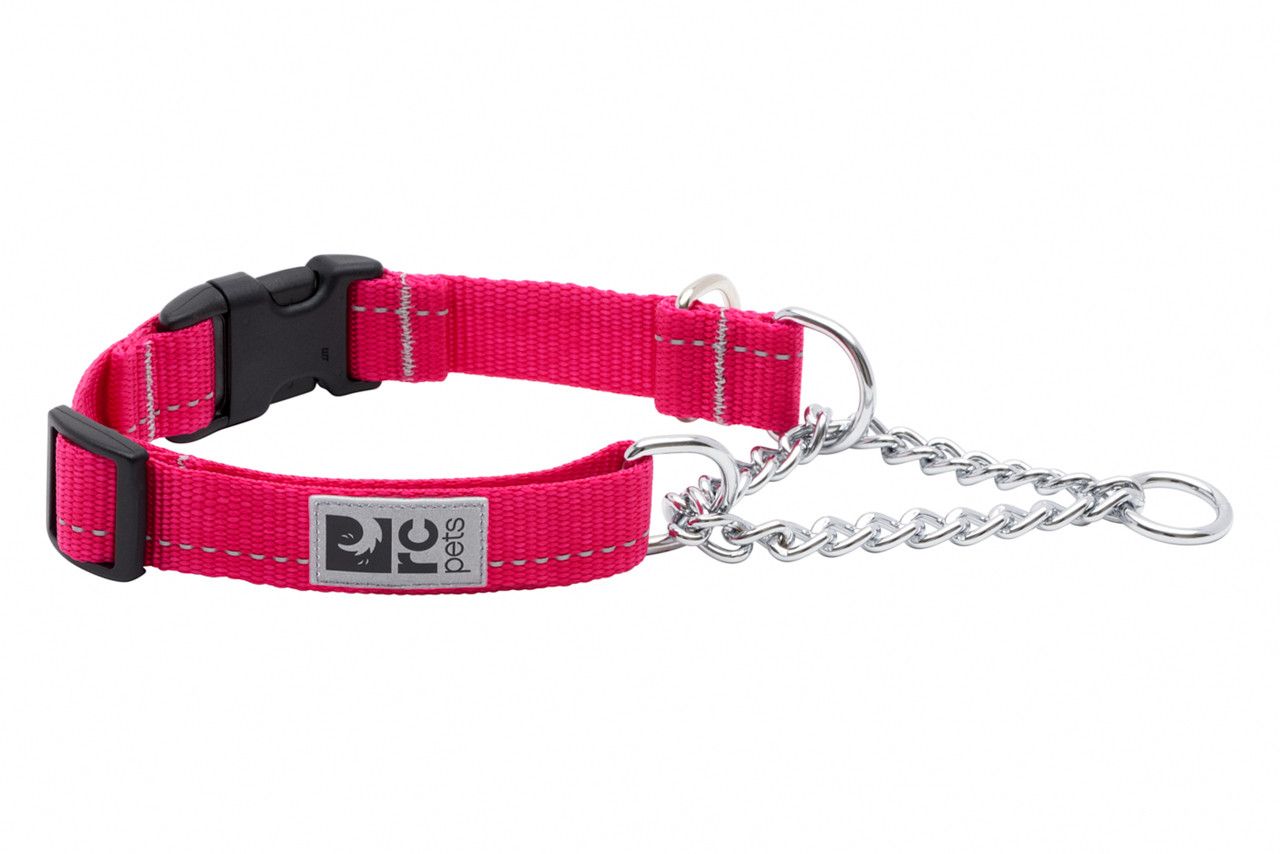 RC Pets - Training Clip Collar Primary Azalea