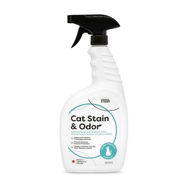 Enviro Fresh - Stain &amp; Odor Probiotic Enzymatic Orange | Cat 950ml