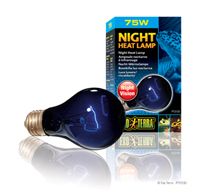Exo Terra - Night Heat Lamp - A19 / 75 W