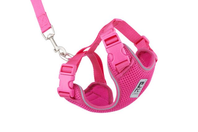 RC Pets - Adventure Kitty Harness Raspberry, Size: Small