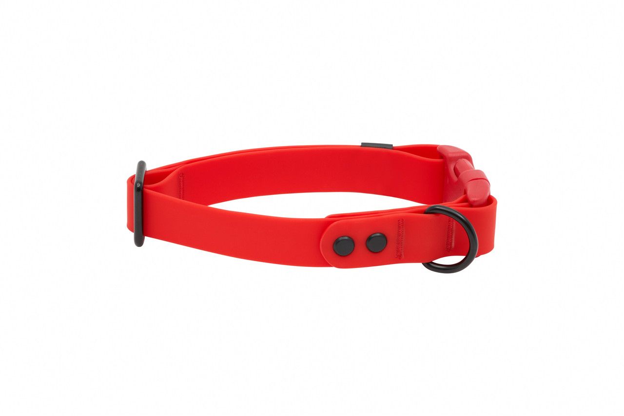 RC Pets - Waterproof Collar Red